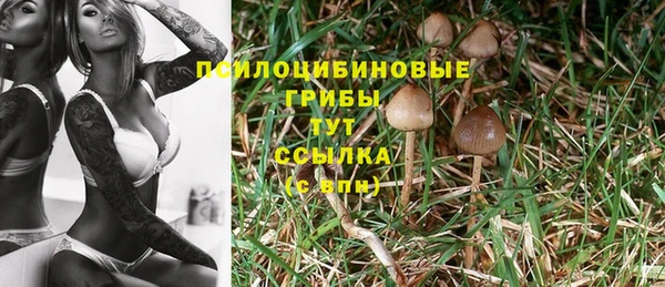 MESCALINE Арсеньев